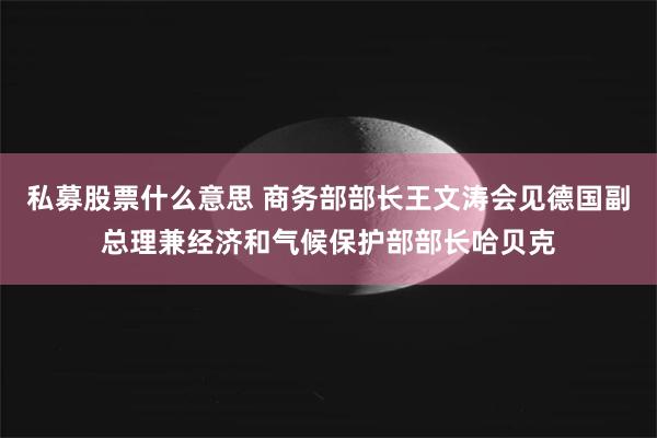 私募股票什么意思 商务部部长王文涛会见德国副总理兼经济和气候保护部部长哈贝克