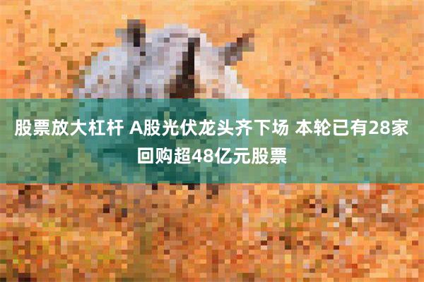 股票放大杠杆 A股光伏龙头齐下场 本轮已有28家回购超48亿元股票