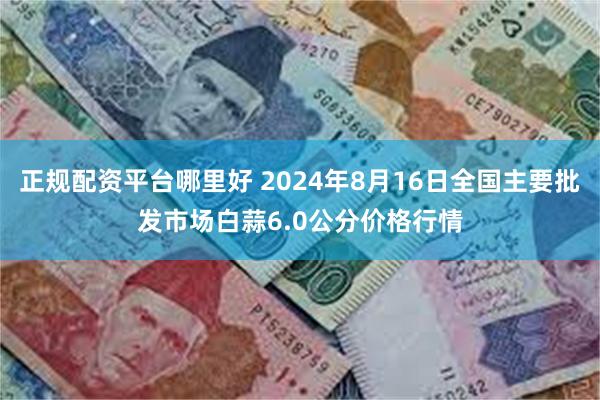 正规配资平台哪里好 2024年8月16日全国主要批发市场白蒜6.0公分价格行情