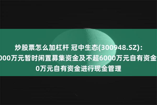 炒股票怎么加杠杆 冠中生态(300948.SZ)：拟使用不超6000万元暂时闲置募集资金及不超6000万元自有资金进行现金管理